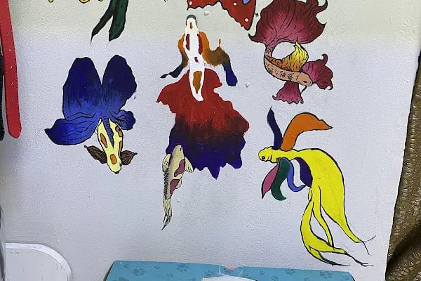 ERYAMAN ROTA PET SHOP ALO MAMA - Resim 8