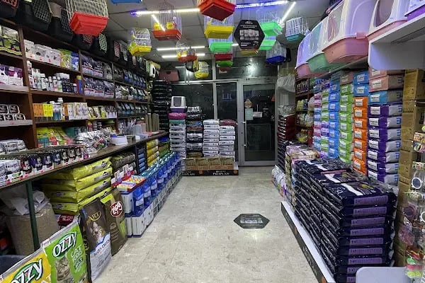 ERYAMAN ROTA PET SHOP ALO MAMA - Resim 5