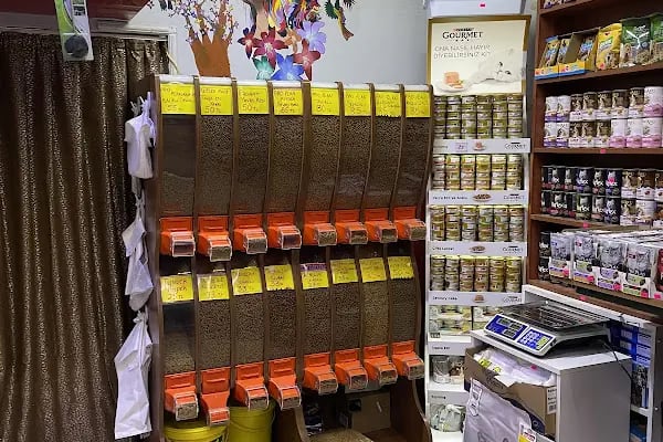 ERYAMAN ROTA PET SHOP ALO MAMA - Resim 2