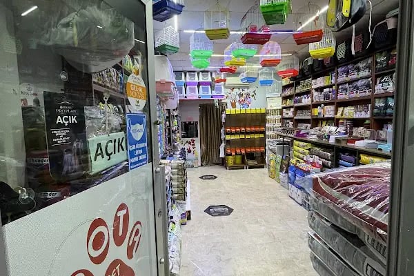 ERYAMAN ROTA PET SHOP ALO MAMA - Resim 14