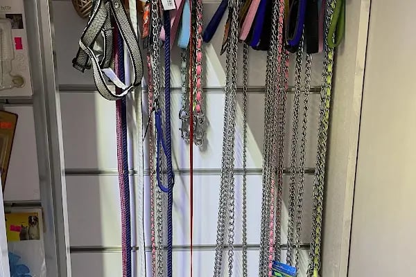 ERYAMAN ROTA PET SHOP ALO MAMA - Resim 3