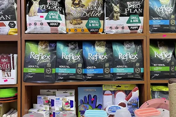 ERYAMAN ROTA PET SHOP ALO MAMA - Resim 10