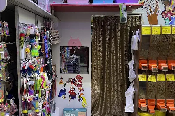 ERYAMAN ROTA PET SHOP ALO MAMA - Resim 9