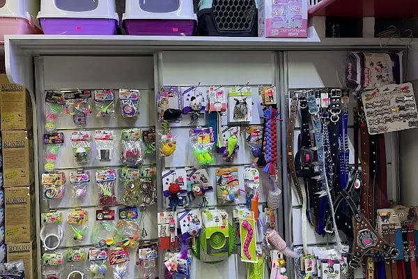 ERYAMAN ROTA PET SHOP ALO MAMA - Resim 15