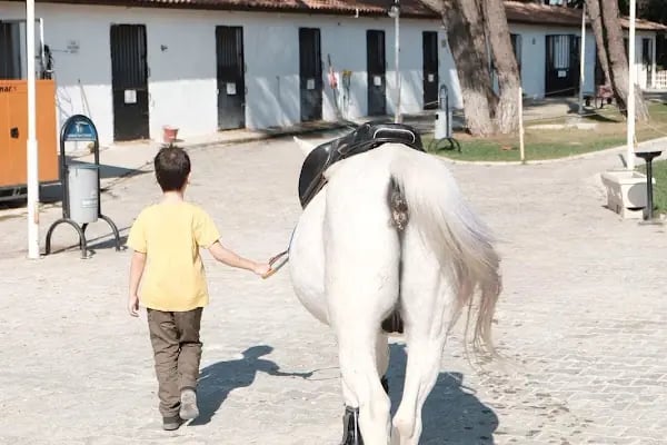 Ege Atlı Spor Kulübü - Resim 12