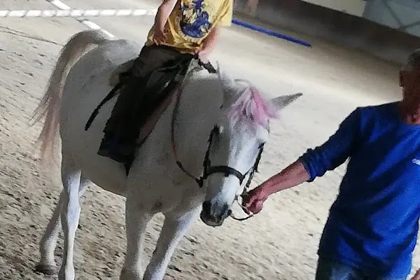 Ege Atlı Spor Kulübü - Resim 2