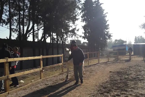 Ege Atlı Spor Kulübü - Resim 15