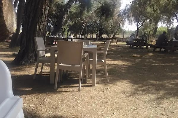Ege Atlı Spor Kulübü - Resim 14