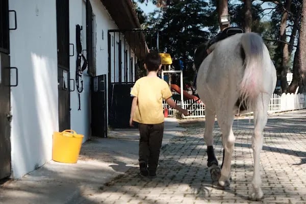 Ege Atlı Spor Kulübü - Resim 8