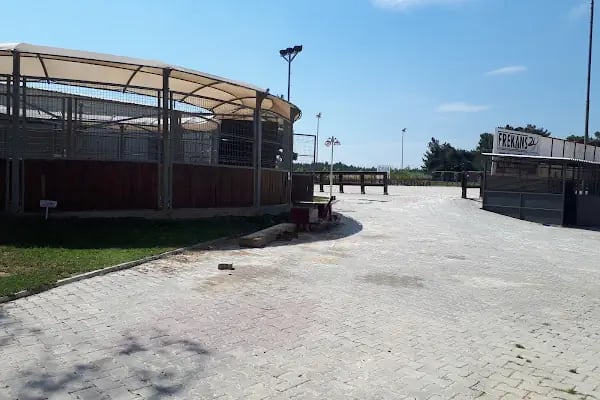 Ege Atlı Spor Kulübü - Resim 7