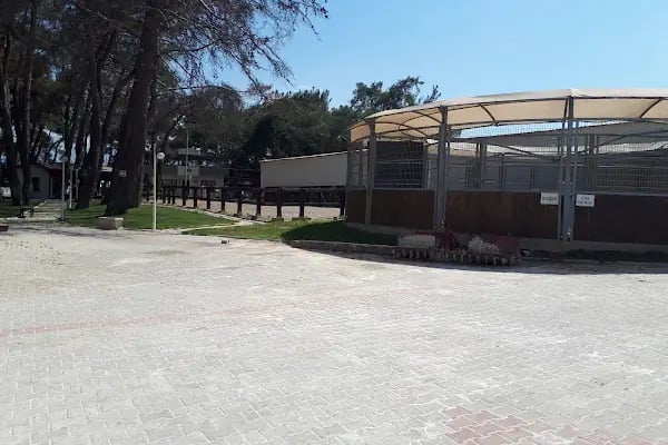 Ege Atlı Spor Kulübü - Resim 17