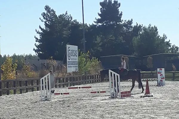 Ege Atlı Spor Kulübü - Resim 18