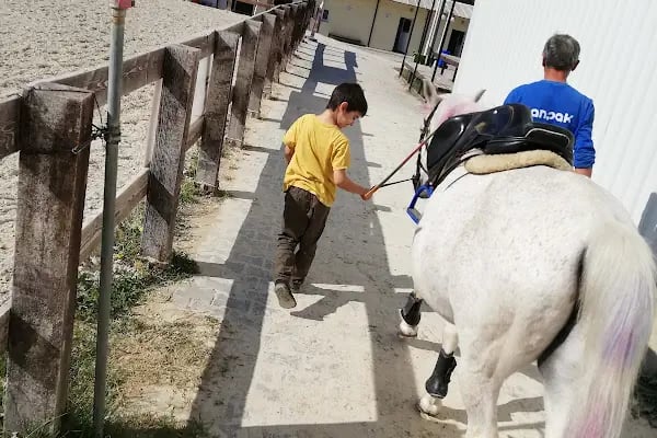 Ege Atlı Spor Kulübü - Resim 16