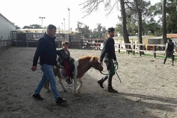 Ege Atlı Spor Kulübü - Resim 9