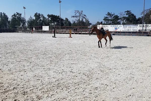 Ege Atlı Spor Kulübü - Resim 19