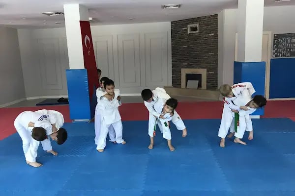 Balıkesir Tenis İhtisas Kulübü - Resim 2