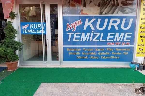 Aysu kuru temizleme - Resim 14