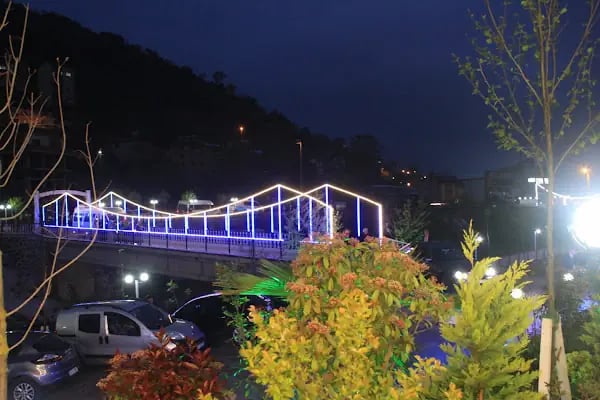 KALINTAŞ GOLD DÜĞÜN SARAYI - Resim 3