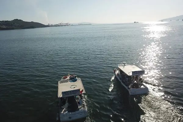 Ercü KAPTAN_Gemlik Olta Balık Avı Tekne Turları - Resim 5