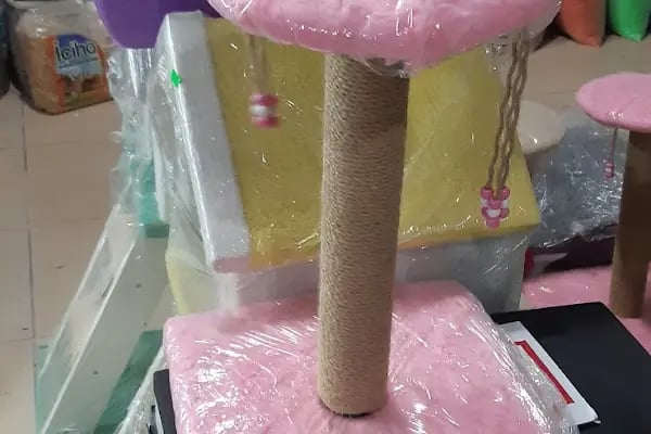 GEMLİK PET DÜNYASI - Resim 5