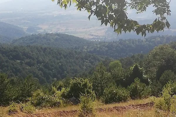 GSB PAMUKOVA BAKACAK GENÇLİK KAMPI - Resim 4