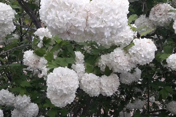 GSB PAMUKOVA BAKACAK GENÇLİK KAMPI - Resim 14