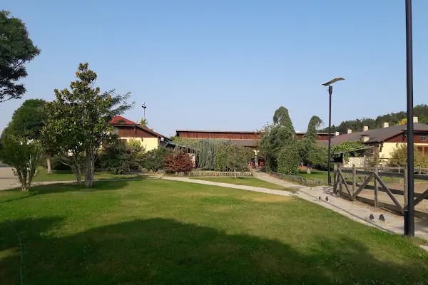 GSB PAMUKOVA BAKACAK GENÇLİK KAMPI - Resim 8