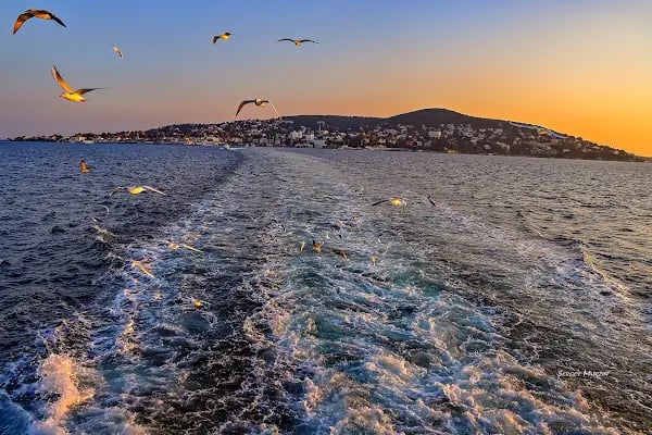 Büyükada (Prenstur) - Resim 16
