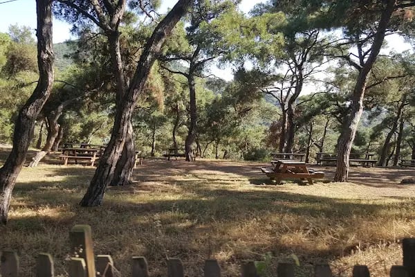 Büyükada (Prenstur) - Resim 8