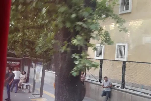 Ankara Üniversitesi Sağlık Bilimleri Enstitüsü - Resim 6