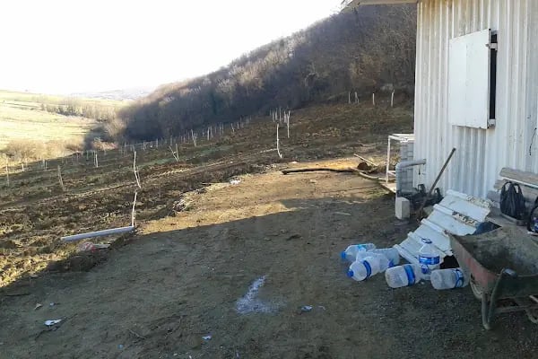 Baytur Korukent Havuz - Resim 12