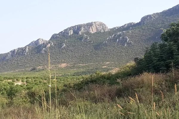 Cabbar Dede Türbesi - Resim 1