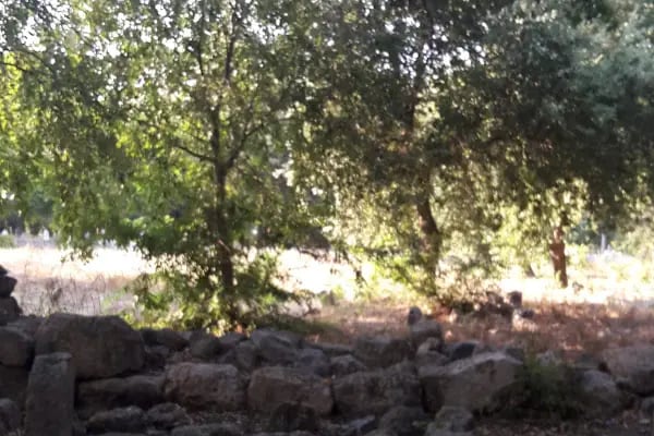 Cabbar Dede Türbesi - Resim 7