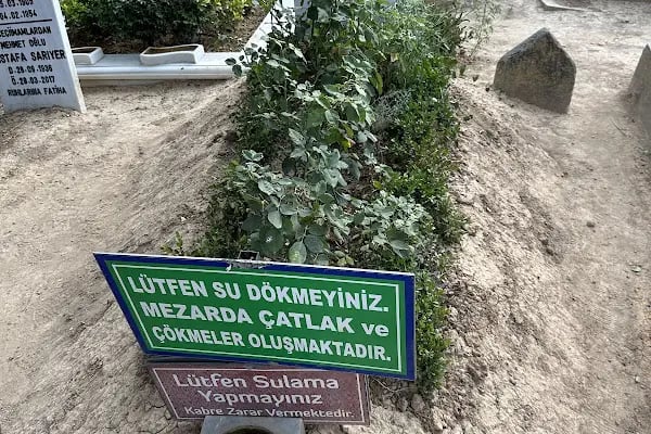 Tahir Büyükkörükçü Hocaefendi Mezarı - Resim 3