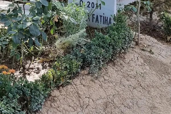 Tahir Büyükkörükçü Hocaefendi Mezarı - Resim 14