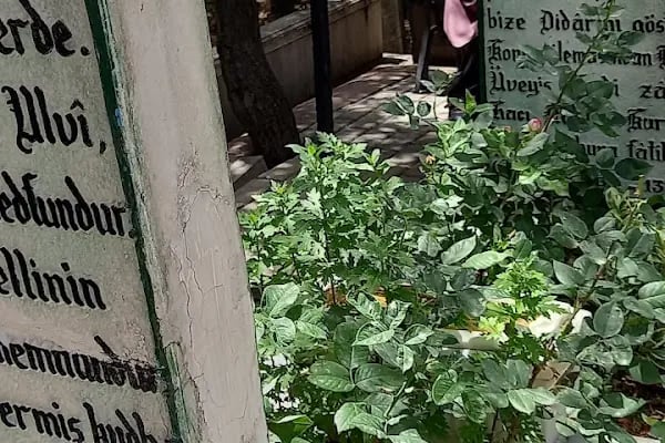 Tahir Büyükkörükçü Hocaefendi Mezarı - Resim 18