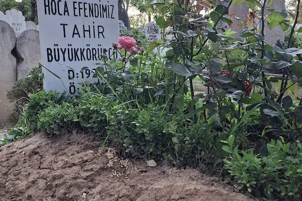Tahir Büyükkörükçü Hocaefendi Mezarı - Resim 4