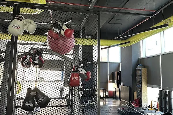 Boxing Hall - Resim 10