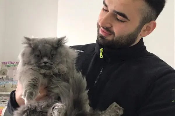 Vetlife Veteriner Kliniği - Resim 9