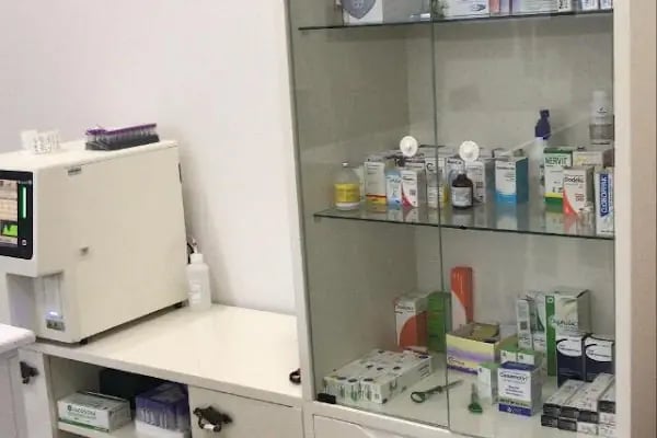 Vetlife Veteriner Kliniği - Resim 3