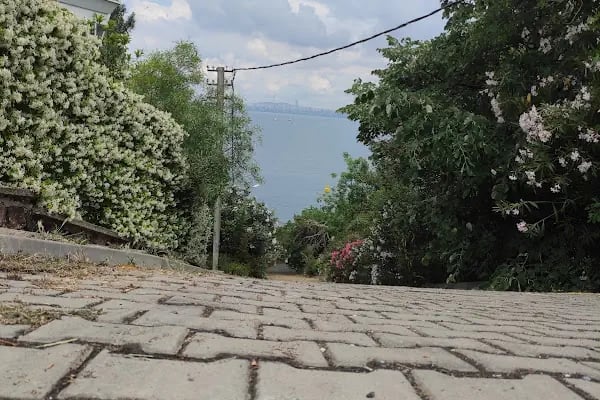 Burgazada İlkokulu - Resim 4