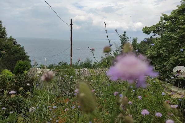 Burgazada İlkokulu - Resim 3