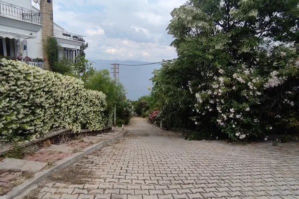 Burgazada İlkokulu - Resim 6