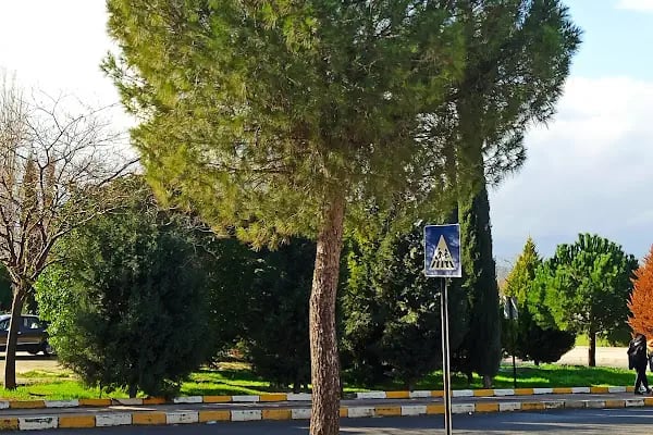 Dokuz Eylül Üniversitesi Dokuzçeşmeler Kampüsü - Resim 10
