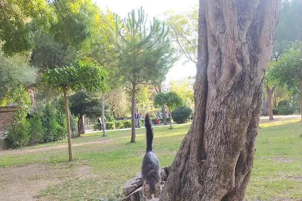 Dokuz Eylül Üniversitesi Dokuzçeşmeler Kampüsü - Resim 9