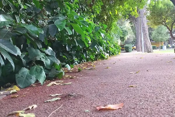 Dokuz Eylül Üniversitesi Dokuzçeşmeler Kampüsü - Resim 4