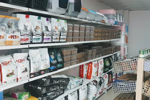 Alomamam Aydınlı PetShop - Resim 12