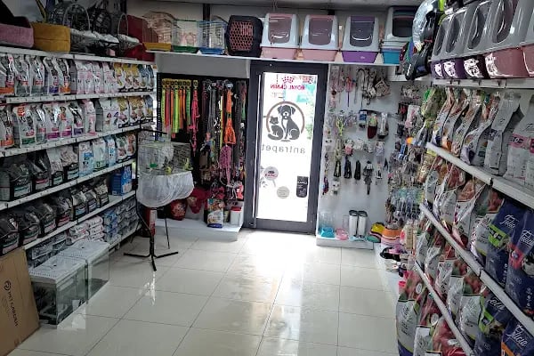 Alomamam Aydınlı PetShop - Resim 10