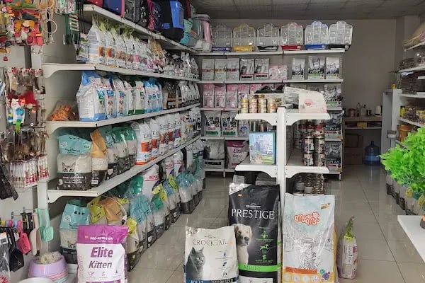 Alomamam Aydınlı PetShop - Resim 8