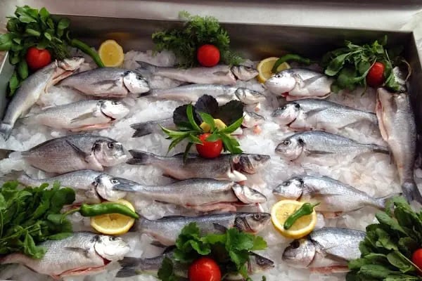 Location Zirve Restaurant Alanya - Resim 3
